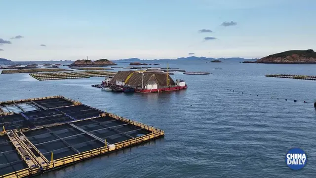 Trung Quốc ra mắt tổ hợp năng lượng tái tạo kết hợp trang trại nuôi cá - Ảnh 1.