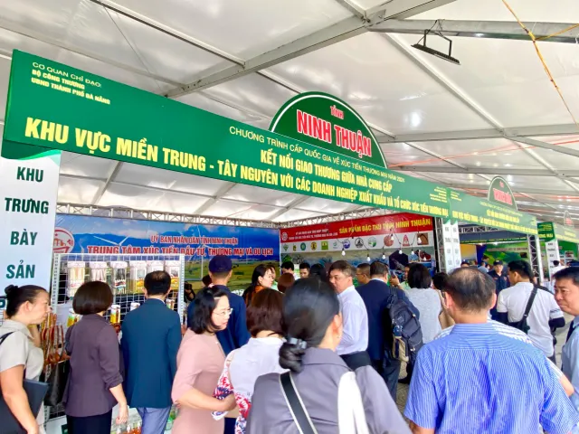 Ninh Thuận tham gia hội nghị kết nối giao thương khu vực miền Trung - Ảnh 2.