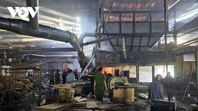 Bình Định: Khống chế đám cháy lớn tại công ty sản xuất sản phẩm gỗ - Ảnh 1.