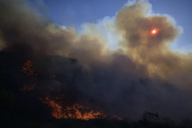 Thủ tướng Hy Lạp cảnh báo mùa hè nguy hiểm vì cháy rừng - Ảnh 1.