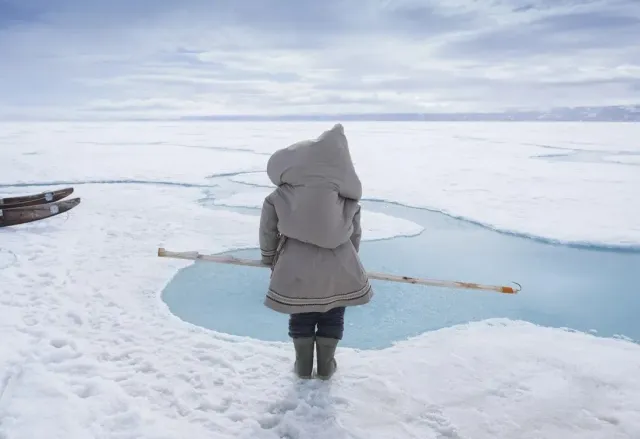 Biến đổi khí hậu – Góc nhìn từ Bắc Cực - Ảnh 1.