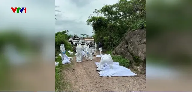 Phát hiện 19 thi thể trong một xe tải tại Mexico - Ảnh 1.