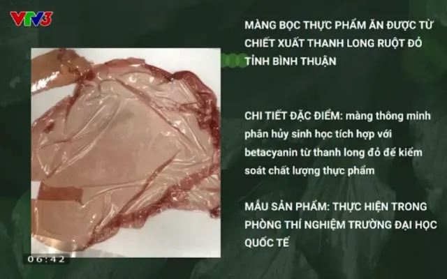 Tìm hiểu về sáng kiến màng bọc thực phẩm xuất thân từ thực phẩm - Ảnh 1.