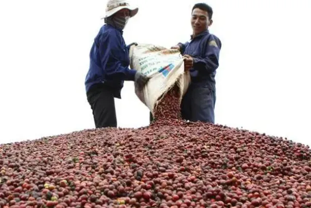 Xuất khẩu nông lâm thủy sản 4 tháng đầu năm đạt 23,04 tỷ USD - Ảnh 2.