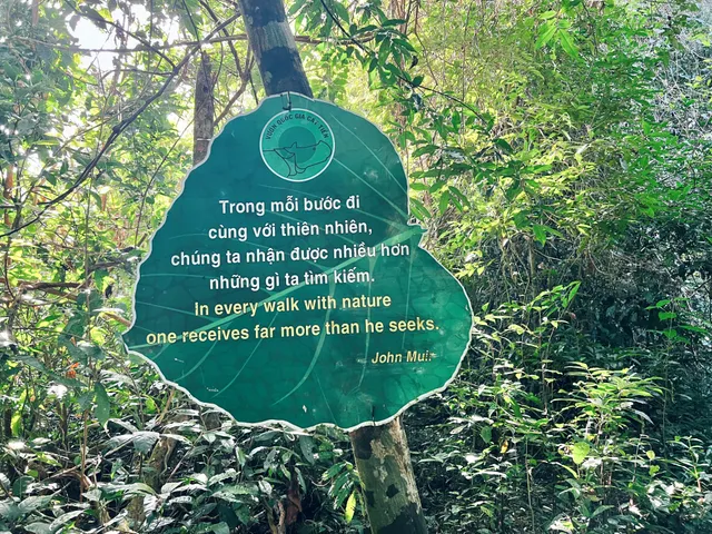 Tọa đàm về giá trị của carbon rừng và xu thế mới trong ứng phó với biến đổi khí hậu ở Việt Nam - Ảnh 5.