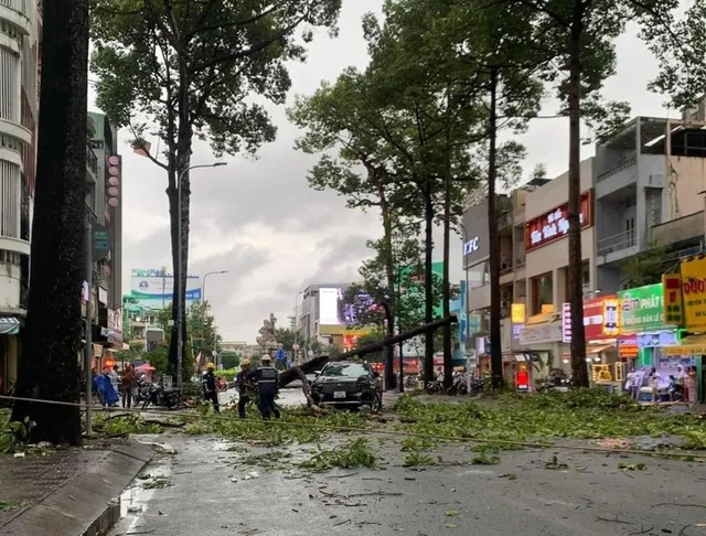 Cành cây gãy đè trúng ô tô, rạp cưới bị xô đổ trong mưa dông ở TP Hồ Chí Minh - Ảnh 1.