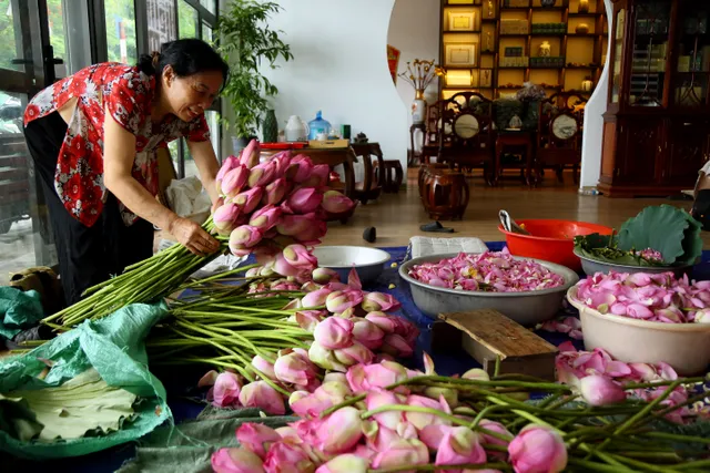 Nét tinh hoa của trà sen Tây Hồ - Ảnh 2.