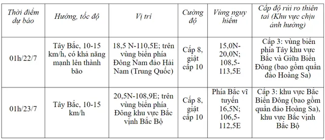 Áp thấp nhiệt đới gây biển động mạnh, sóng cao từ 2,5-4,5m - Ảnh 1.