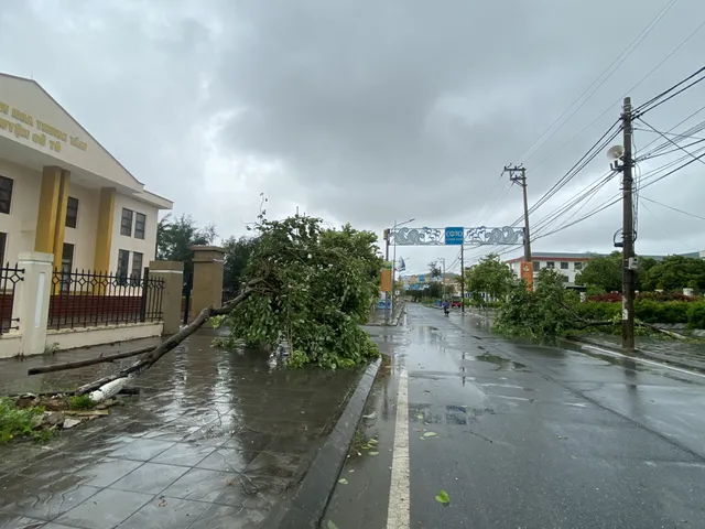 Bão số 2 đổ bộ Quảng Ninh, gió lớn làm đổ nhiều cây - Ảnh 17.