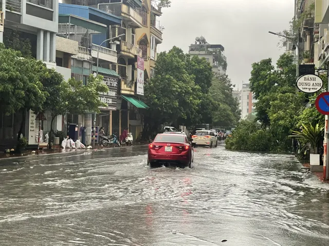 Bão số 2 đổ bộ Quảng Ninh, gió lớn làm đổ nhiều cây - Ảnh 15.