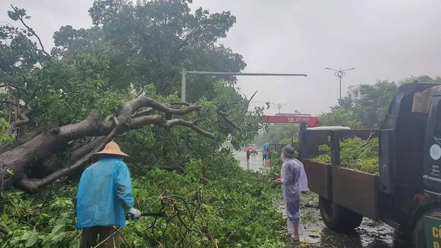 Quảng Ninh đẩy nhanh khắc phục sạt lở, cây đổ nhiều sau bão số 2 - Ảnh 20.