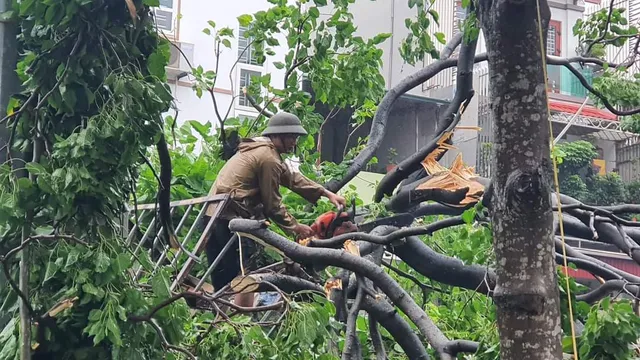 Quảng Ninh đẩy nhanh khắc phục sạt lở, cây đổ nhiều sau bão số 2 - Ảnh 18.