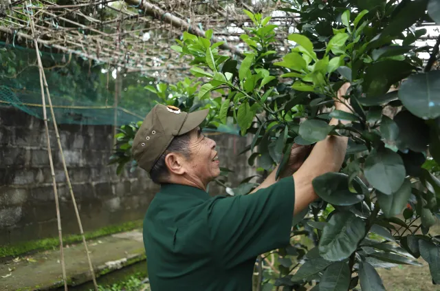 Những thương binh xướng bài ca vỡ đất dưới chân đèo Tằng Quái - Ảnh 5.