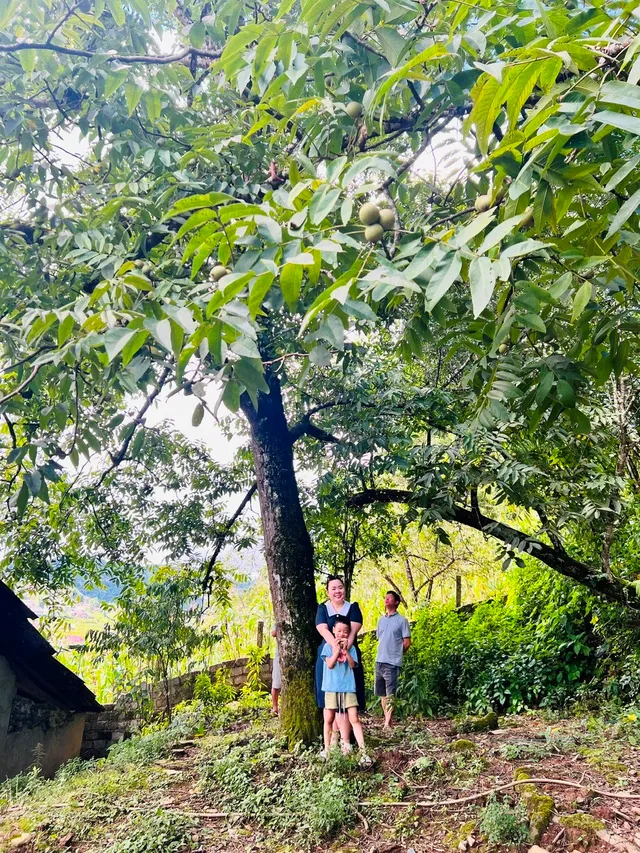 Cao nguyên Sìn Hồ - Điểm đến hấp dẫn hòa mình cùng thiên nhiên đất trời - Ảnh 4.