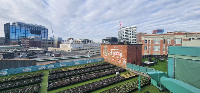 Fenway Park – Thánh địa bóng chày Hoa Kỳ - Ảnh 7.