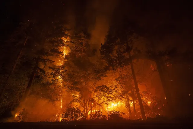 Ô nhiễm không khí do cháy rừng ở California, Mỹ  - Ảnh 1.