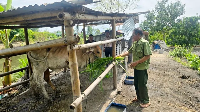 Agricultural programmes benefit people in the northern border areas of the Central Highlands region - Ảnh 1.