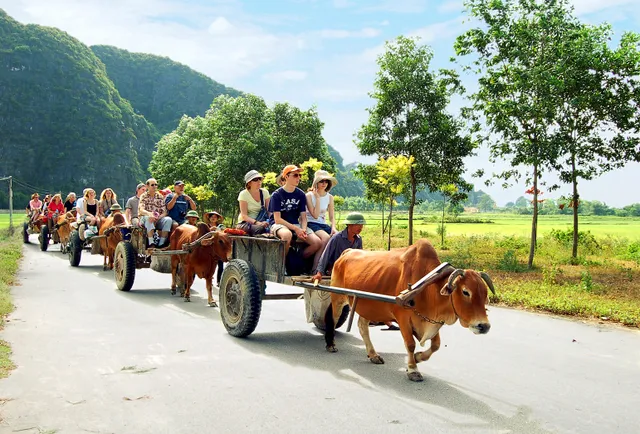 Agritourism: Hướng tới sự phát triển bền vững - Ảnh 2.