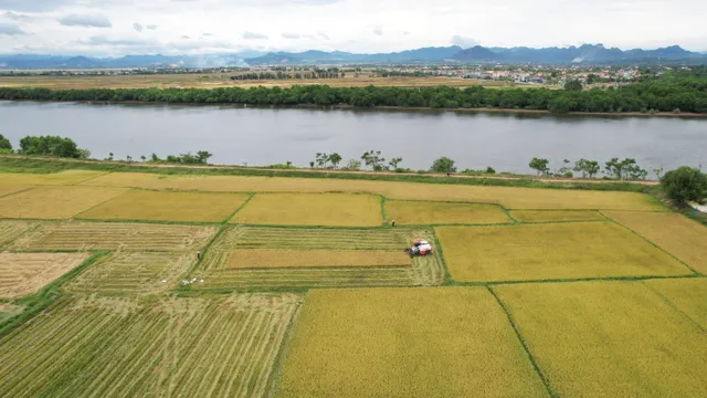 Quảng Bình: Nỗ lực tránh bỏ ruộng hoang vụ Hè – Thu - Ảnh 1.