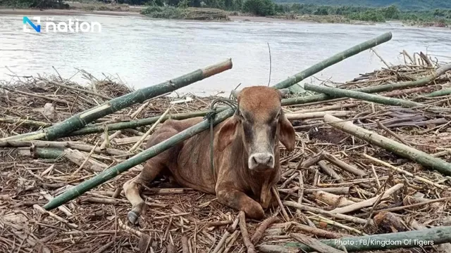 Mưa lũ nghiêm trọng tại miền Bắc Thái Lan, 5 người thiệt mạng - Ảnh 2.