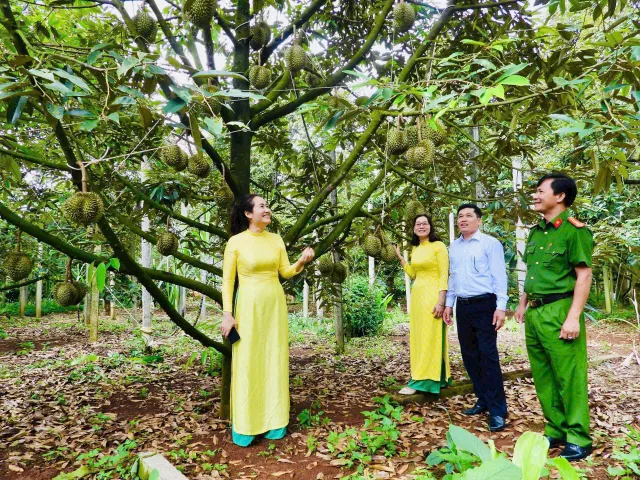 Đắk Lắk: Tổ chức đấu giá “Nữ hoàng sầu riêng” - Ảnh 2.