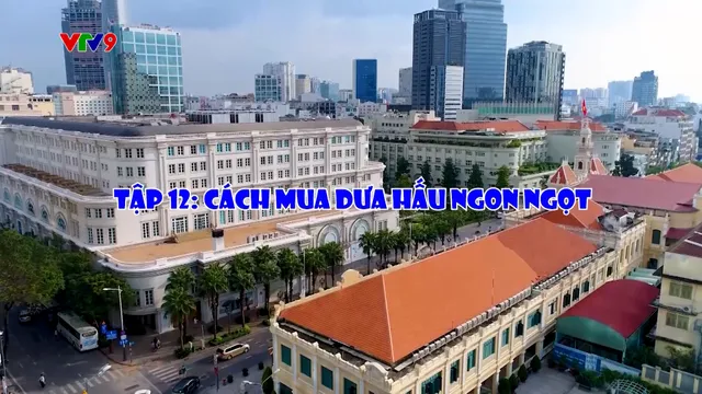 Chuyện phố phường (Tập 12): Cách mua dưa hấu ngon ngọt