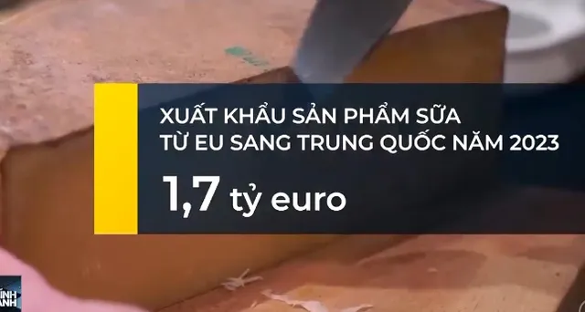 Bị áp thuế xe điện, Trung Quốc đưa ngành sữa EU vào tầm ngắm - Ảnh 1.