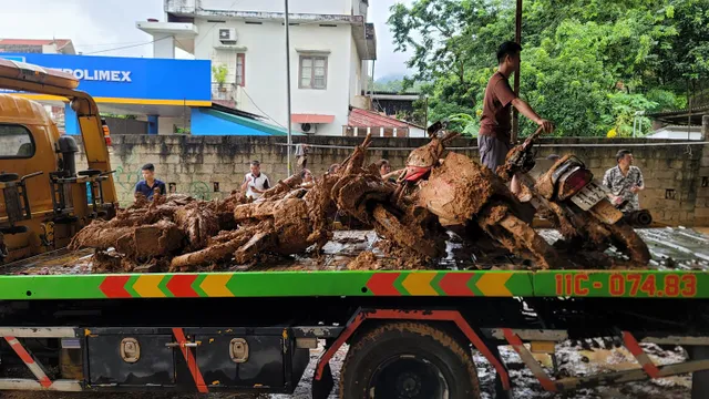 Cao Bằng: Sau 3 ngày mưa lớn, nhiều nơi vẫn ngập lụt, sạt lở nghiêm trọng - Ảnh 7.