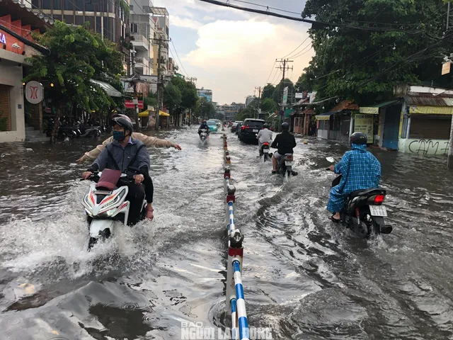 TP. Hồ Chí Minh, Vũng Tàu, Bến Tre ngập úng sau trận mưa lớn - Ảnh 1.