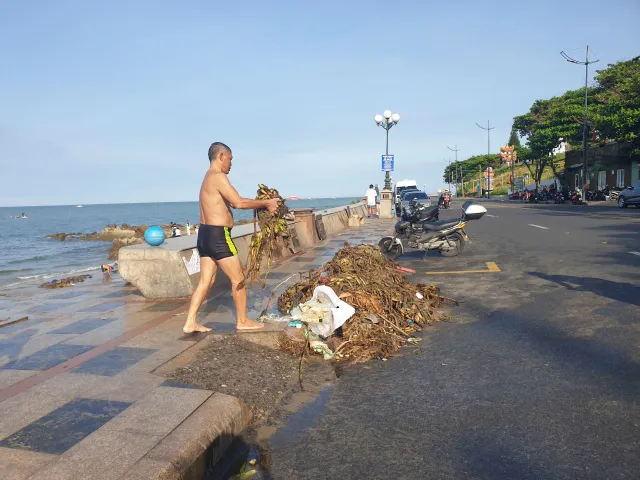 Vũng Tàu: Rác biển liên tục tấn công các bãi tắm - Ảnh 2.