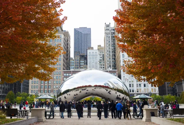 Có một “hạt đậu khổng lồ” ở Chicago - Ảnh 1.