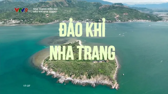 Nha Trang biển gọi: Đảo khỉ Nha trang