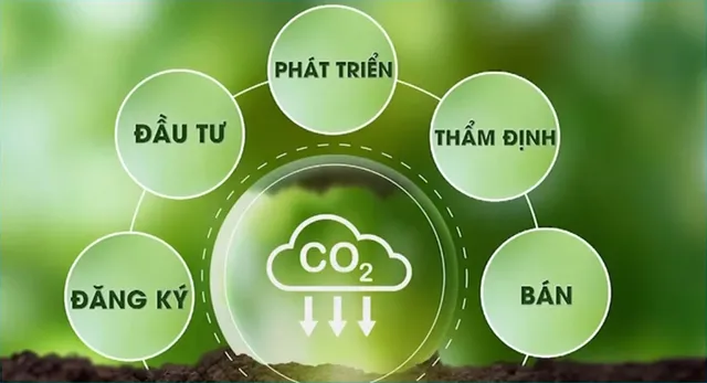 Hành trình Net Zero : Sàn giao dịch tín chỉ carbon - Nơi khởi đầu để hướng tới Net Zero