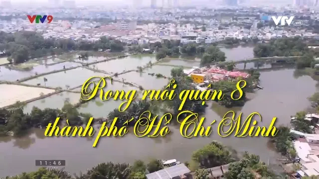 Rong ruổi phương Nam: Rong ruổi quận 8, Thành phố Hồ Chí Minh