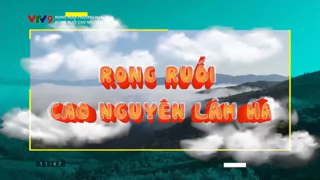 Rong ruổi phương Nam: Rong ruổi Cao nguyên Lâm Hà