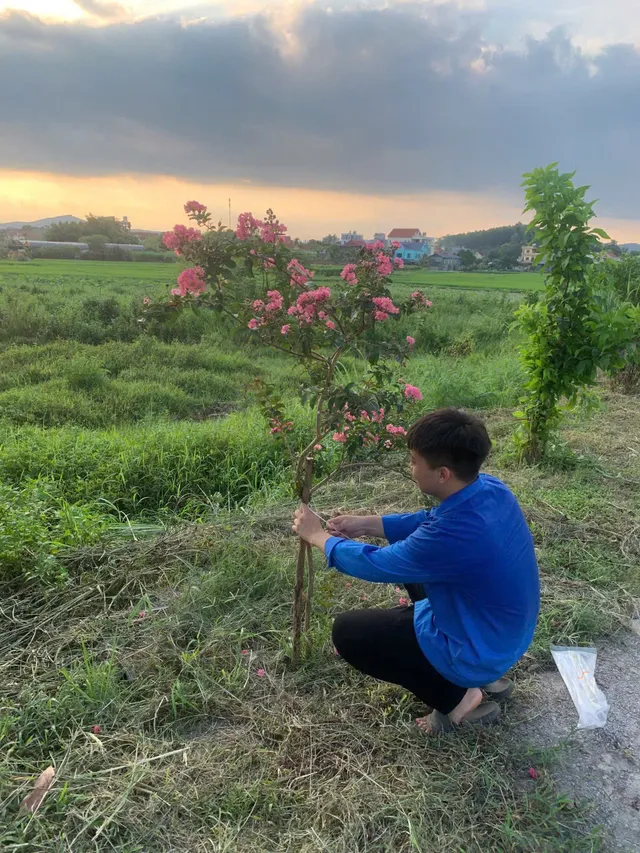 Quảng Ninh: Nhân dân hưởng ứng cùng nhau trồng hàng chục đường hoa dịp Quốc khánh mùng 2/9 - Ảnh 12.