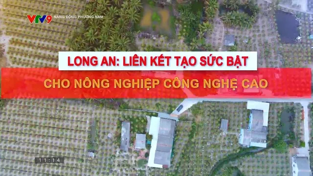 Năng động phương Nam: Long An liên kết tạo sức bật cho nông nghiệp công nghiệp cao