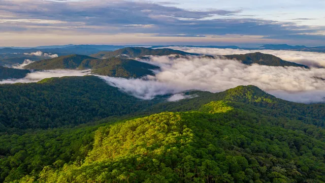 Trekking khám phá VQG Bidoup - Núi Bà và hoà mình vào văn hoá của đồng bào Kho - Ảnh 1.