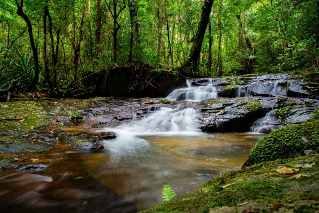 Trekking khám phá VQG Bidoup - Núi Bà và hoà mình vào văn hoá của đồng bào Kho - Ảnh 8.