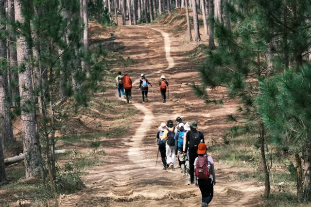 Trekking khám phá VQG Bidoup - Núi Bà và hoà mình vào văn hoá của đồng bào Kho - Ảnh 3.