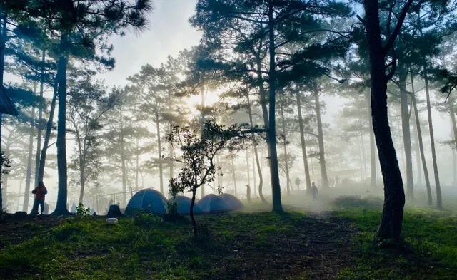 Trekking khám phá VQG Bidoup - Núi Bà và hoà mình vào văn hoá của đồng bào Kho - Ảnh 13.