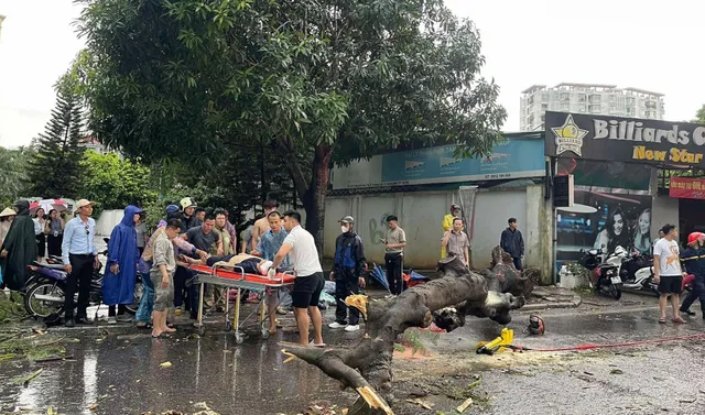 Hà Nội: 1 người chết, 6 người bị thương, 226 cây xanh đổ gẫy do hoàn lưu trước bão số 3 - Ảnh 2.