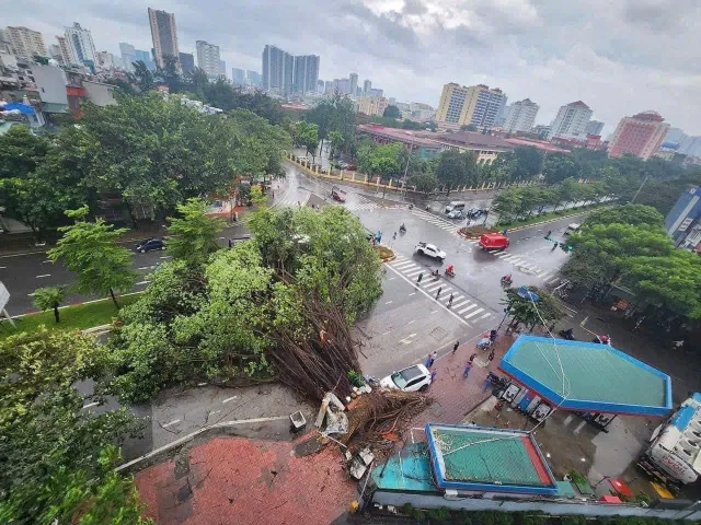 [VIDEO] Hà Nội: Gió giật tới cấp 10, nhà tốc mái, cây đổ la liệt - Ảnh 8.