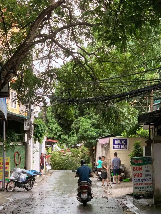 VIDEO: Bão số 3 gây mưa kèm dông gió mạnh quật bay mái tôn, cây xanh nhiều địa phương - Ảnh 8.