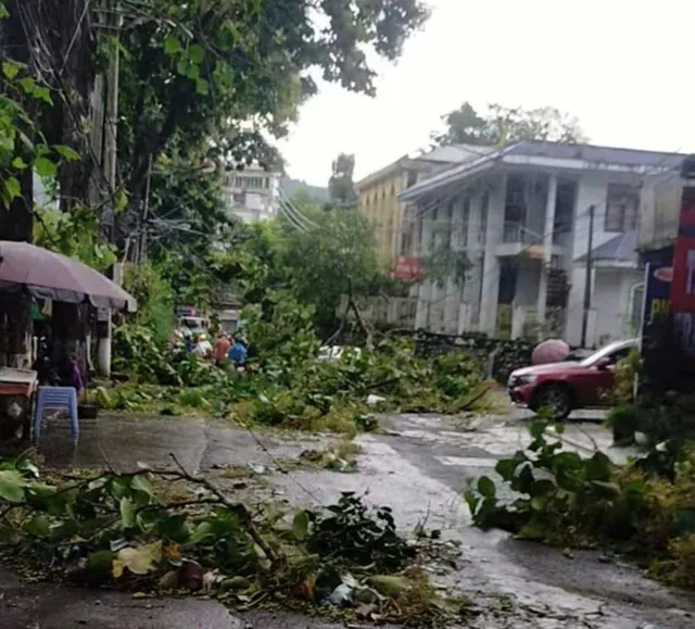 VIDEO: Bão số 3 gây mưa kèm dông gió mạnh quật bay mái tôn, cây xanh nhiều địa phương - Ảnh 6.