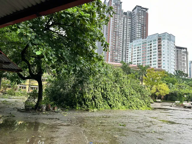 Đón học sinh trở lại sau bão Yagi, các trường học khẩn trương dọn dẹp - Ảnh 2.