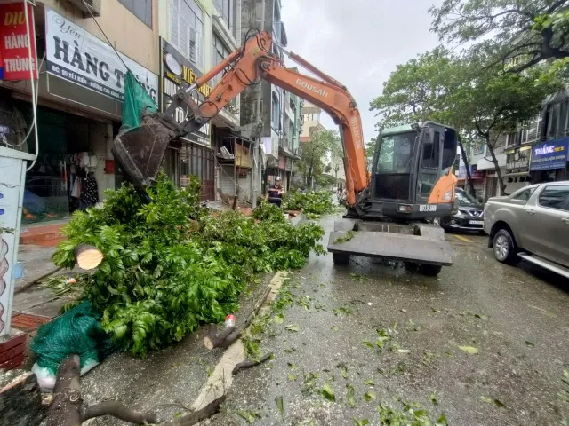 TP Hạ Long căng mình khắc phục hậu quả bão số 3 - Ảnh 5.