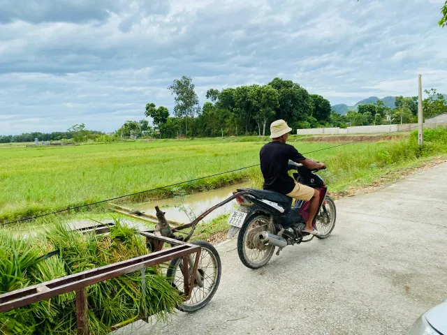 Nông dân Thanh Hóa khẩn trương thu hoạch lúa sau bão số 3 - Ảnh 3.