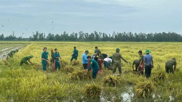 Kiên Giang: Cán bộ, chiến sĩ giúp dân khắc phục hậu quả sau thiên tai - Ảnh 2.