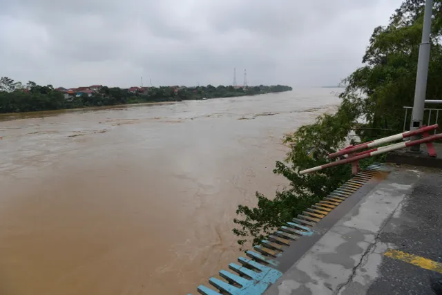 Phú Thọ: Chuẩn bị tiến hành lắp đặt cầu phao tại cầu Phong Châu - Ảnh 3.